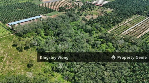 Sungai Siput RE road Freehold 11 Acres Agricultural Land Suitable Poultry farm