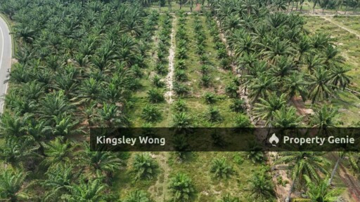 Sungai Siput 2 Acres Land Road Side Land Flat Land