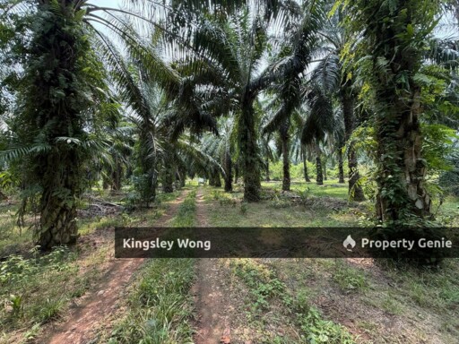 Sungai Siput Agriculture Land 3.2 Acres Flat Land Industrial Zone