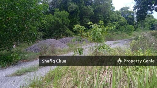 Prime Land for Sale in Pekan Pahang