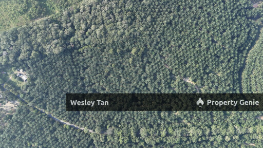 Jasin Jln Tehel Freehold Mainroad 9.9acres Matured Palm Oil Agri Land