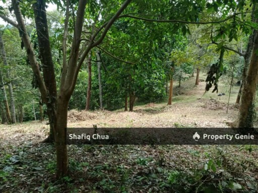 Beautiful Orchard Land for Sale in Ulu Melaka, Langkawi