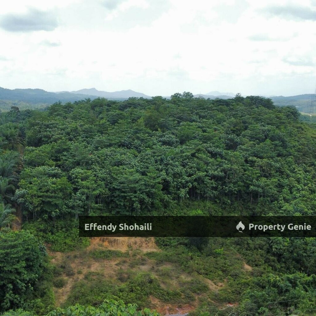 SUNGAI SERIGALA HULU BERNAM BANGLO LOT
