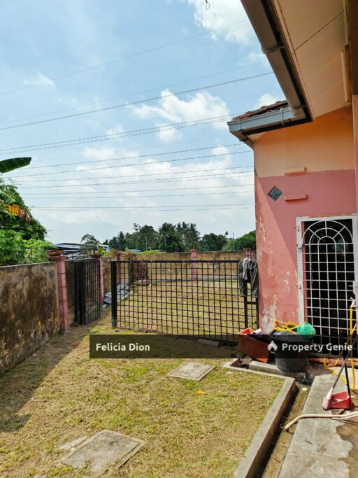 POKOK MANGGA SINGLE STOREY SEMI-D CORNERLOT FOR SALE 🏕️ BELOW VALUE