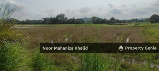 Tanah Pertanian Batu Tambun, Mukim Rambai Kedah