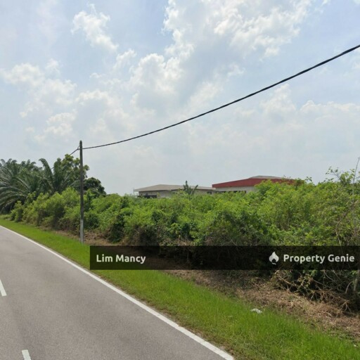 Tanjung Pelepas Medium Industrial Land For Rent / Sale