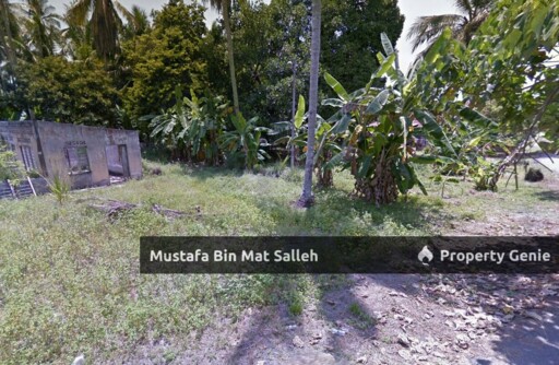 [Tanah First Gred] Kampung Makau Suah, Sungai Jawi, SPS