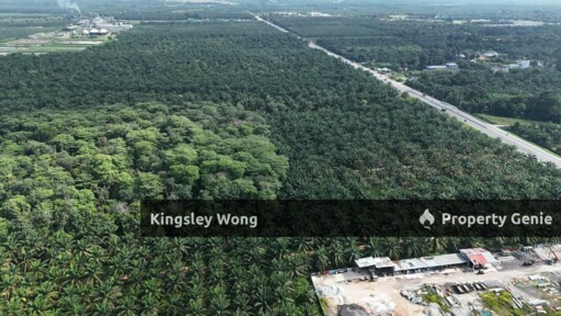 Taiping Perak Freehold Agriculture Land Can convert to Industrial title