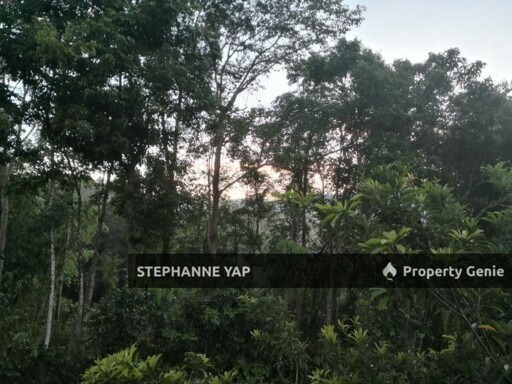 Slim River, Tanjung Malim