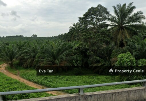 Kulaijaya Commercial Land