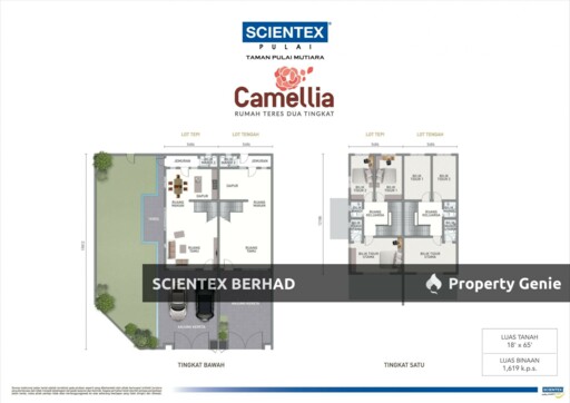 Camellia, Scientex Pulai
