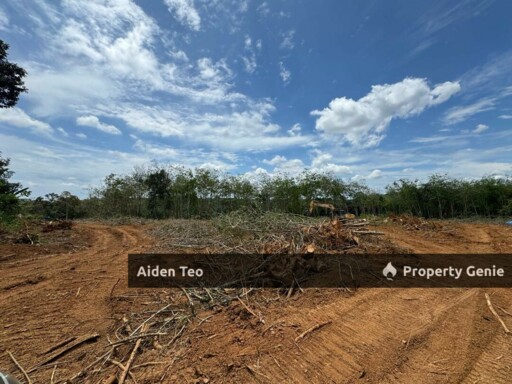 Durian Tunggal For Sale Taman Nuri Sentosa For Sale