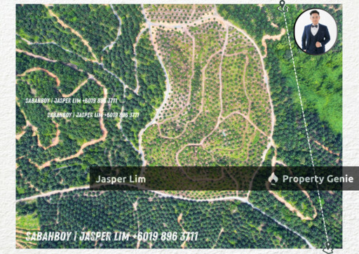 Kunak Plantation Land