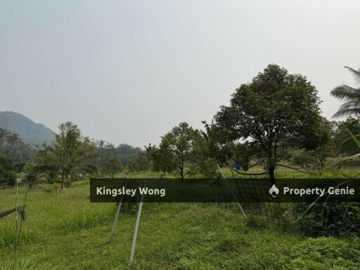 Jalong Tinggi Sg Siput Easy Entry with Asphalt Road 4 Acres Durian Orchard Farm