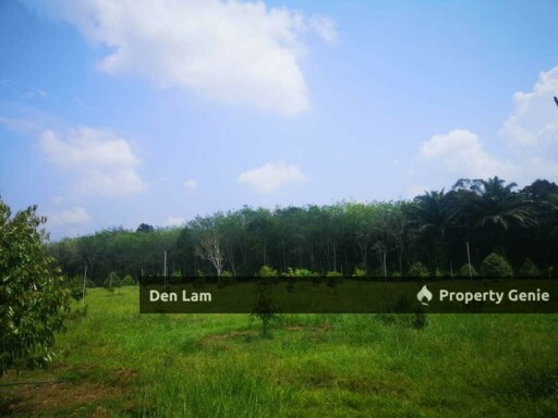 Raub Sungai Ruan Durian farm for sale !!