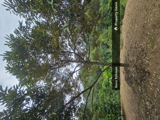 Agricultural land in Rasah Kemayan Seremban