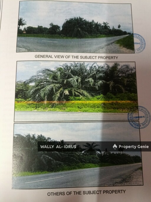 Agricultural land @ Jeram, Kuala Selangor