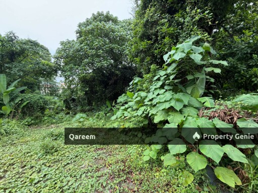 Residential Land 12500 Sft Bangsar Kuala Lumpur. Prime Area