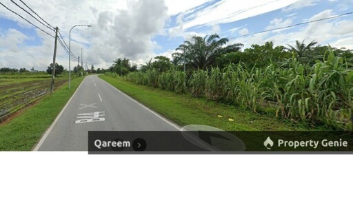 3.15 Ekar Ladang Sawit Parit 8 Sungai Panjang Sungai Besar