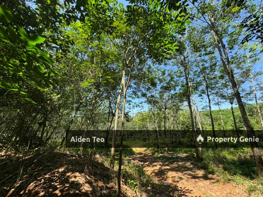 Alor Gajah Paya Rumput For Sale
