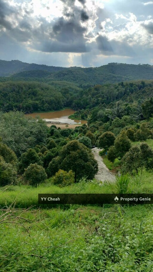 Kuala Kangsar Perak - freehold agriculture for sale, 4 acres, easy access