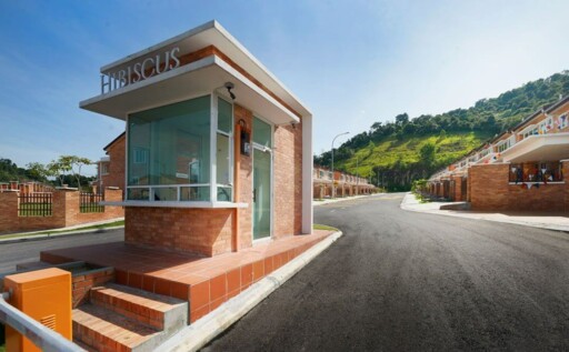 Hibiscus, Goodview Heights
