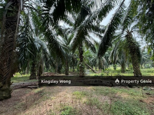 Sungai Siput Agriculture Land 3.2 Acres Flat Land Industrial Zone