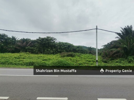 Tanah 20 Ekar Tepi Jalan Besar, Kota Tinggi Ke Sedili