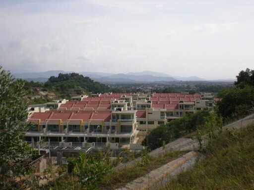 Golden Hill Garden