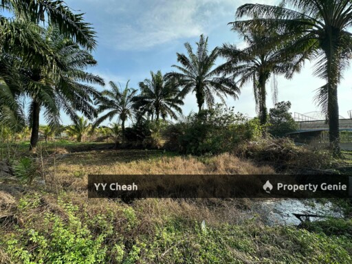 Gopeng Ipoh Perak Agriculture Flat Land For Sale, Freehold Beside road Agricultural Land