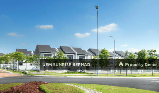 Begonia, Serene Heights