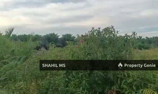 SIMPANG RENGAM JOHOR || JALAN PARIT HAJI YASSIN || TANAH PERTANIAN || 3.852 EKAR || REZAB MELAYU || LEASEHOLAD || RM 220,000