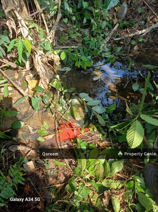 2 Ekar tanah Pertanian Kalumpang Tambahan. Kerling
