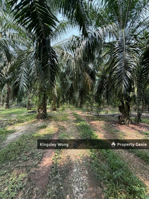 Sungai Siput Agriculture Land 3.2 Acres Flat Land Industrial Zone