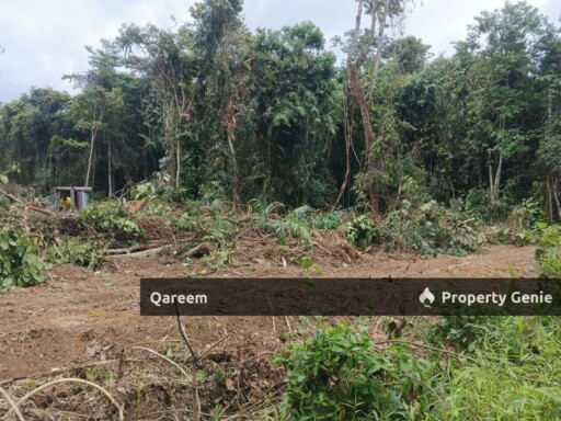 [FEEEHOLD] 3 Ekar Pekan Rasa, Sebelah Sungai. Batang Kali