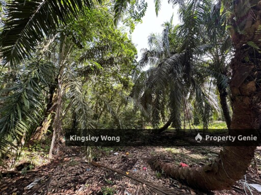 Taiping Perak Freehold Agriculture Land Can convert to Industrial title