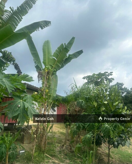 10 Acres Agriculture Land Freehold Temiang Seremban
