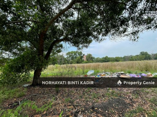 TANAH PERTANIAN 15 EKAR BERDEKATAN GEBENG