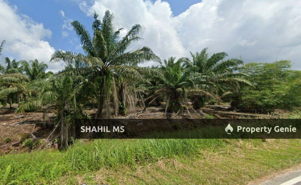 PEKAN NENAS JOHOR || KAMPUNG SUNGAI TEMPAYAN || TANAH PERTANIAN || TANAMAN SAWIT || 6.249 EKAR || RM920,000