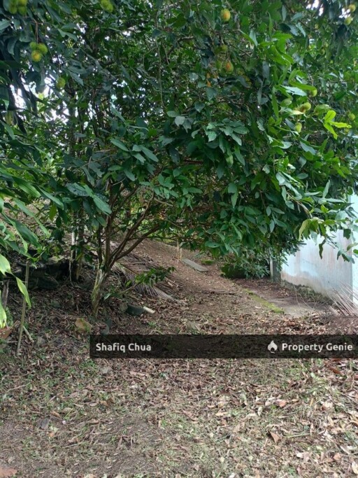 Malay Reserve Land Rembau, Negeri Sembilan For Sale