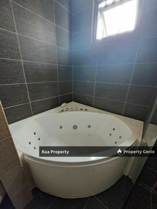 D'Ryx Penthouse Unit For SALE