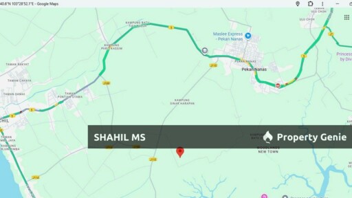 PEKAN NENAS JOHOR || KAMPUNG SUNGAI TEMPAYAN || TANAH PERTANIAN || TANAMAN SAWIT || 6.249 EKAR || RM920,000