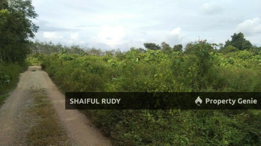 TANAH PERTANIAN untuk Dijual di Kampung Bukit Tingkat, Mukim Sanggang, Temerloh, Pahang