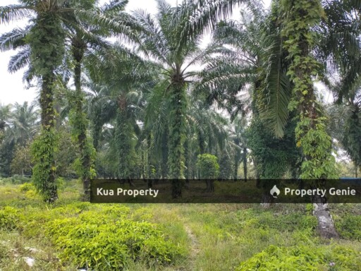 Land for Sale! Pekan Nanas, Jeram Batu