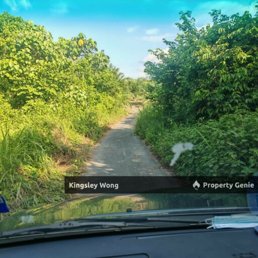Sg Siput Perak Oil Palm Agricultural Land  Freehold Non Bumi Lot 3-4years Trees Sungai Siput Land For Sale