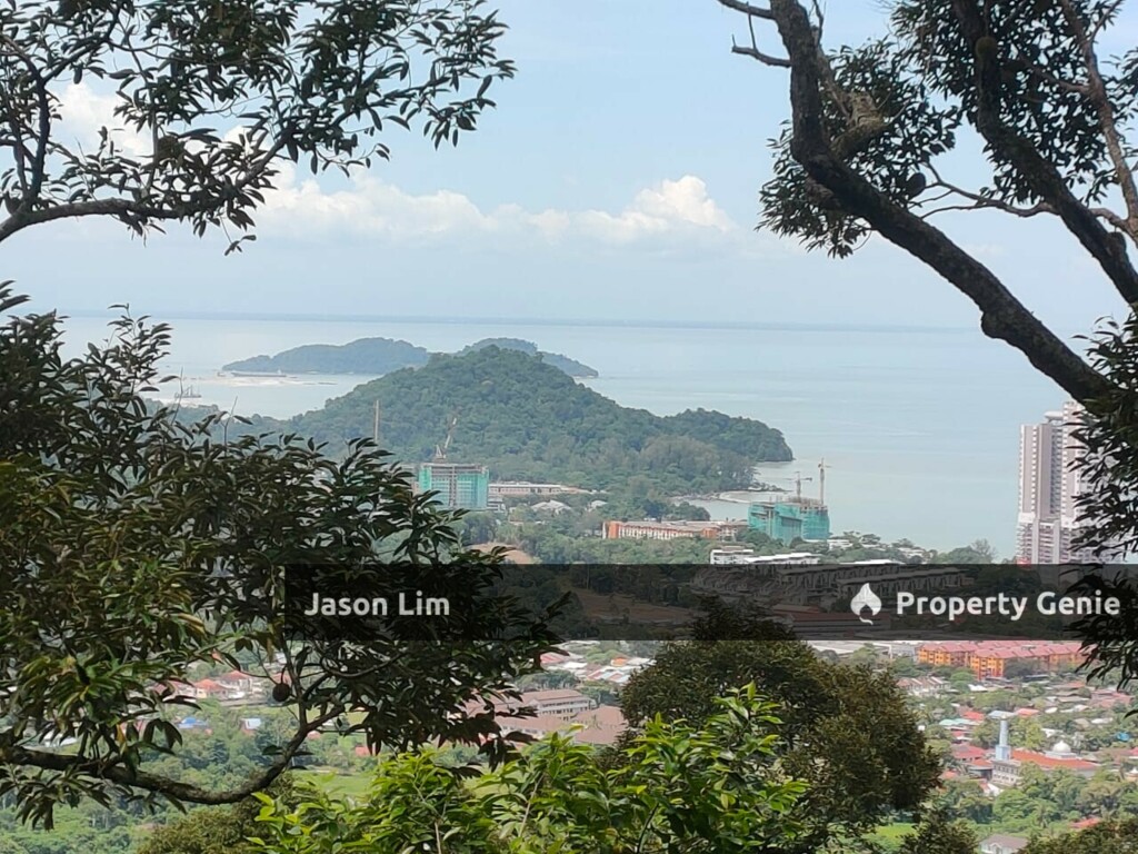 Teluk Kumbar Durian Orchard With Nice View