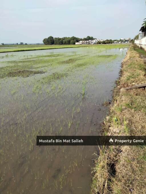 [POTENTIAL LAND FOR DEVELOPMENT] Mergong, Alor Setar