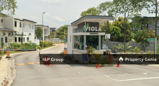 Viola, Alam Impian