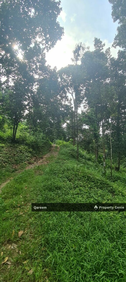 Dusun Durian Kampung Hulu Tamu Batang Kali