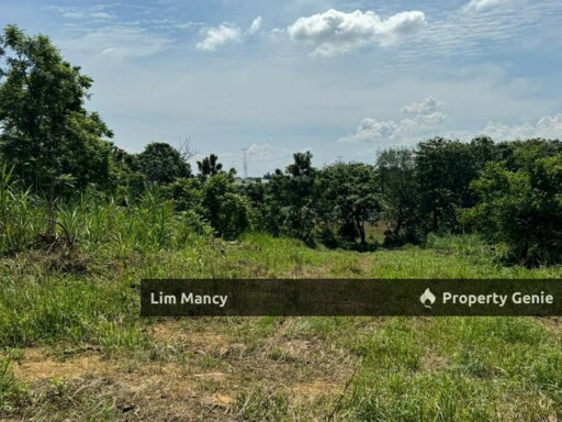 Kempas Medium Industrial Land Facing Highway